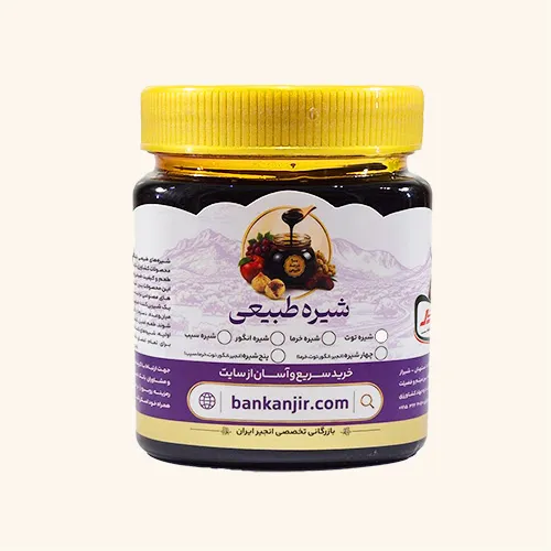 پنج شیره – انجیر،انگور،توت،خرما، سیب [500گرم]